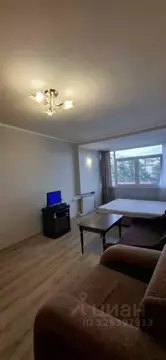 1-к кв. Краснодарский край, Сочи Мамайка мкр, ул. Крымская, 36 (34.0 ...