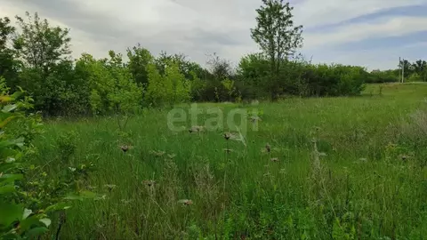 Участок в Белгородская область, Белгородский район, Никольское с/пос, ...