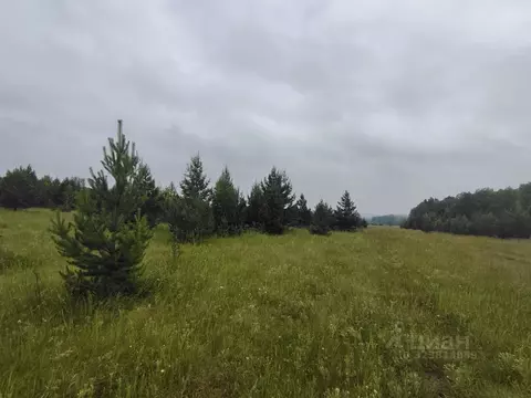 Участок в Челябинская область, Чебаркульский муниципальный округ, ...