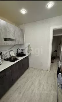 1-к кв. Челябинская область, Озерск Набережная ул., 39 (29.7 м)