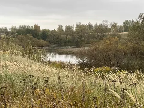 Участок в Тульская область, Ясногорский район, Ревякинское с/пос, № 20 ...