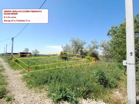 Участок в Краснодарский край, Анапа  (5.19 сот.)