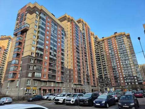 1-к кв. Санкт-Петербург пос. Парголово, ул. Валерия Гаврилина, 11к1 ...