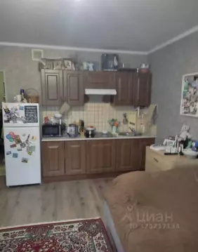 1-к кв. Московская область, Домодедово Южный мкр, ул. Курыжова (28.0 ...
