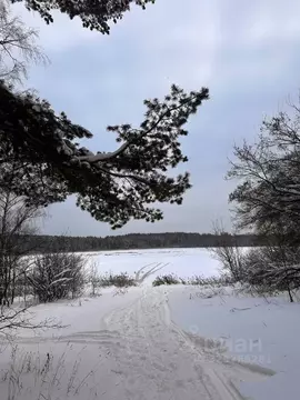 Участок в Московская область, Дмитровский муниципальный округ, д. ...