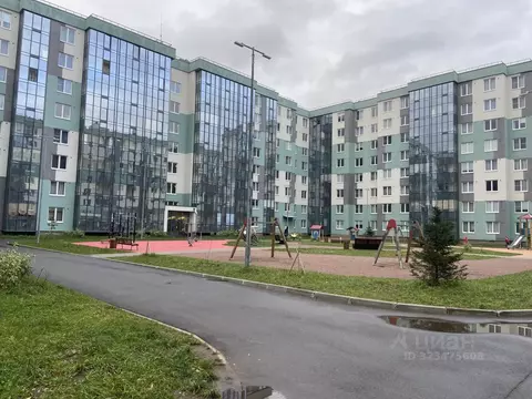 Студия Ленинградская область, Всеволожский район, Заневское городское ...