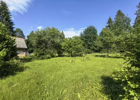 Дом в Ленинградская область, Лужский район, Толмачевское городское ...