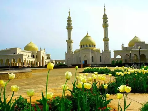 1-к кв. Татарстан, Казань Щербаковский пер., 7 (20.0 м)