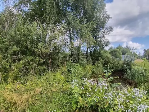 Участок в Ленинградская область, Киришский район, Будогощское ...