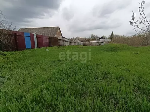 Участок в Белгородская область, Чернянский район, Русскохаланское ...