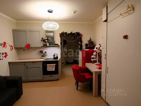 Студия Московская область, Мытищи Юбилейная ул., 4 (23.0 м)