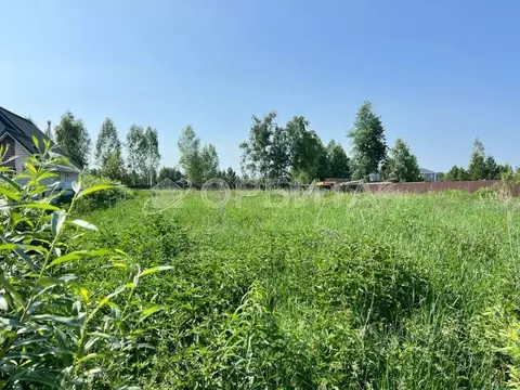 Участок в Тюменская область, Нижнетавдинский муниципальный округ, ...