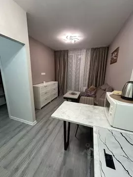 1-к кв. Санкт-Петербург пос. Парголово, ул. Новокузнецкая, 8 (34.5 м)