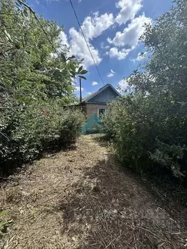 Участок в Оренбургская область, Оренбургский район, с. Южный урал ...