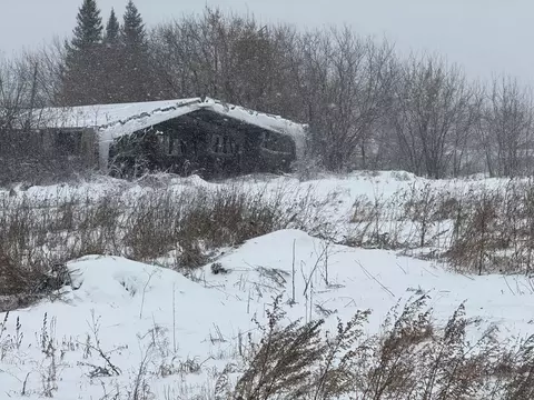 Участок в Алтайский край, Барнаул городской округ, пос. Черницк  (57.0 ...