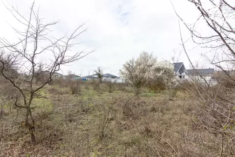 Участок в Крым, Симферопольский район, Чистенское с/пос, Ивушка ...