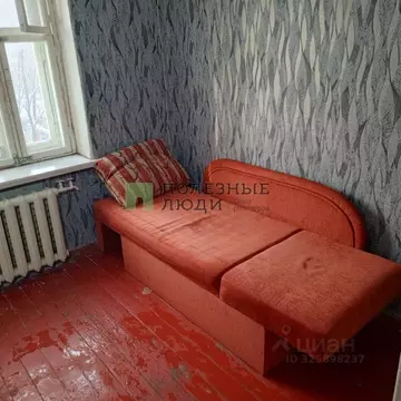 Студия Курганская область, Курган ул. Ленина, 39 (26.0 м)