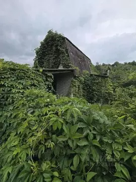 Дом в Белгородская область, Старый Оскол Мичуринец СНТ,  (30 м)