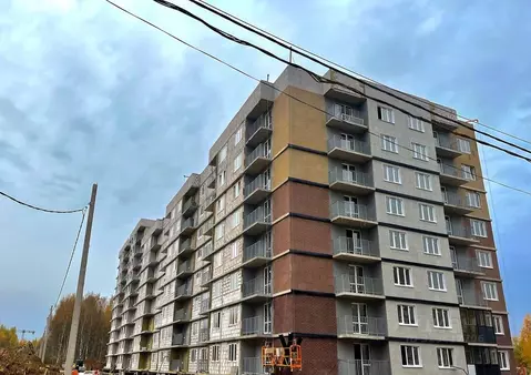 Студия Ярославская область, Ярославль просп. Фрунзе, 58 (29.83 м)