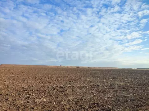 Участок в Крым, Сакский район, с. Суворовское ул. 40 лет Победы (6.04 ...