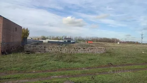 Участок в Ростовская область, Мясниковский район, с. Большие Салы ул. ...