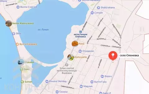 Участок в Крым, Черноморский район, Оленевское с/пос, с. Оленевка ул. ...