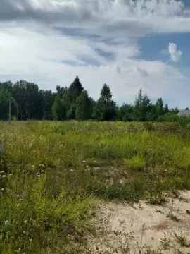 Участок в Нижегородская область, Дальнеконстантиновский муниципальный ...