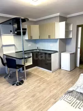 Студия Вологодская область, пос. Кувшиново ул. Сосновая, 2 (24.1 м)