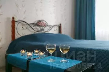 1-к кв. Новосибирская область, Новосибирск Сибирская ул., 42 (37.0 м)