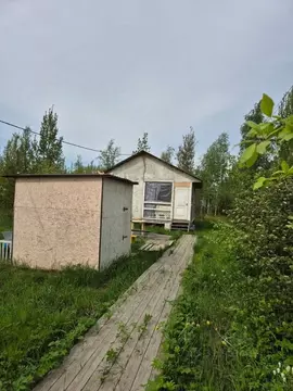 Участок в Санкт-Петербург Старо-Паново исторический район, ул. ...