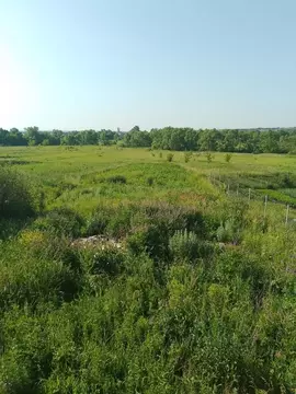 Участок в Пензенская область, с. Бессоновка ул. Пушкина, 30 (36.0 ...