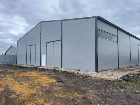 Помещение свободного назначения в Московская область, Раменский ...