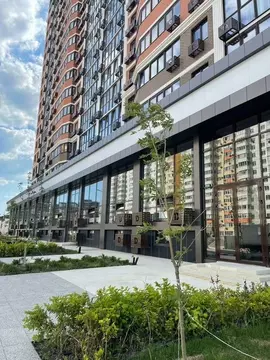 Помещение свободного назначения в Краснодарский край, Анапа ул. ...