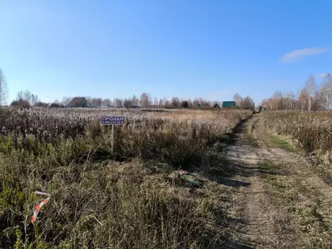 Участок в Красноярский край, Емельяновский муниципальный округ, ...