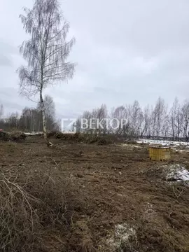 Участок в Ярославская область, Некрасовский муниципальный округ, ...