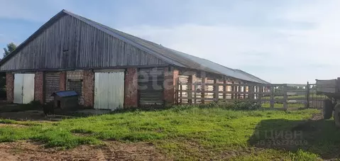 Склад в Пермский край, Ильинский муниципальный округ, с. Кривец пер. ...