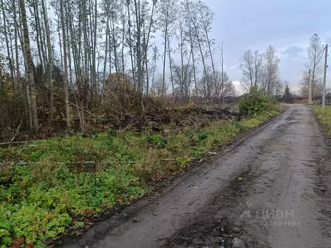 Участок в Ленинградская область, Ломоносовский район, Пениковское ...