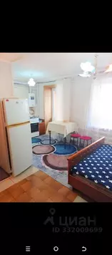 Студия Татарстан, Альметьевск ул. Белоглазова, 46 (24.0 м)