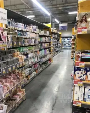 Торговая площадь в Новосибирская область, Новосибирск Волховская ул., ...