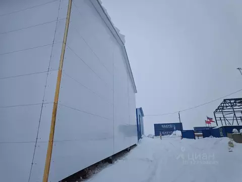 Производственное помещение в Московская область, Домодедово городской ...