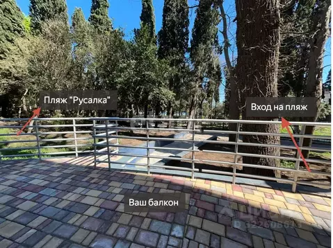 Студия Крым, Ялта муниципальный округ, Кореиз пгт, парк-памятник ...