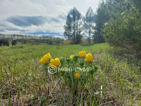 Участок в Татарстан, Казань Долгая ул., 3 (10.0 сот.)