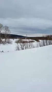 Участок в Тульская область, Ясногорский район, Ревякинское с/пос, с. ...