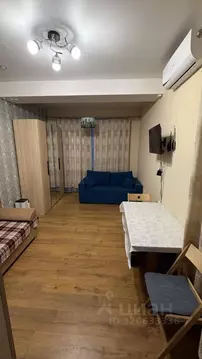 Студия Краснодарский край, Сочи ул. Ручей Видный, 66 (32.5 м)