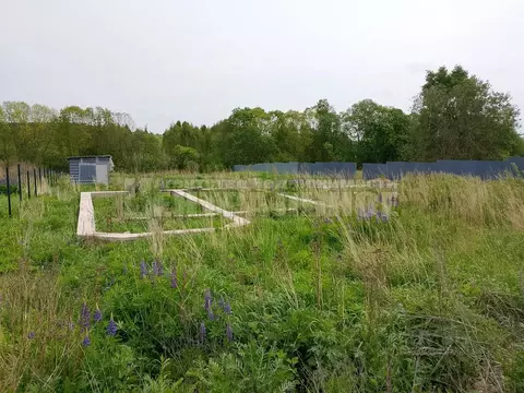 Участок в Смоленская область, Смоленский муниципальный округ, д. ...