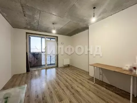 1-к кв. Новосибирская область, Новосибирск Красный просп., 167/3 (25.4 ...