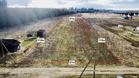 Участок в Ленинградская область, Волосовский район, д. Клопицы  (34.0 ...