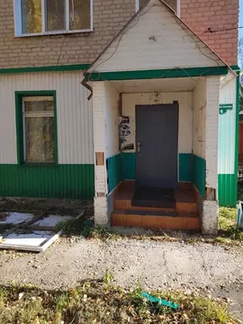 Помещение свободного назначения в Мордовия, Атяшевский район, с. Алово ...