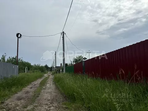 Участок в Тюменская область, Тюмень Садовое товарищество Липовый ...