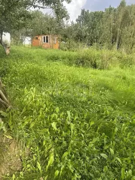 Участок в Калужская область, Боровский муниципальный округ, Кривское ...